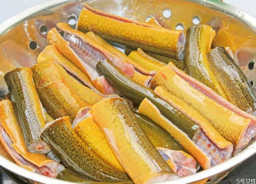 黄鳝如何保存,杀好的黄鳝可以冷冻保存吗 黄鳝如何保存,杀好的黄鳝可以冷冻保存吗