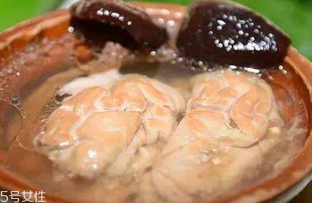 川芎白芷天麻炖猪脑的功效和作用,天麻炖猪脑的功效和作用及禁忌 川芎白芷天麻炖猪脑的功效和作用,天麻炖猪脑的功效和作用及禁忌