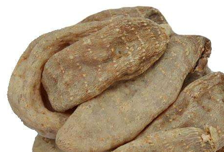 天麻和灵芝怎么吃好,灵芝可以和天麻一起吃吗?具体怎么吃? 天麻和灵芝怎么吃好,灵芝可以和天麻一起吃吗?具体怎么吃?