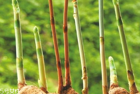 柿子不能空腹吃辟谣,柿子为什么不可以空腹吃