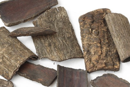 杜仲的特点,杜仲的特点是什么