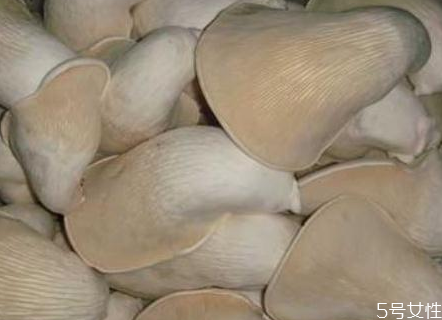 怎样做平菇好吃,干的白灵菇怎么做好吃