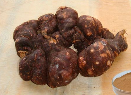 何首乌用什么锅熬好,何首乌用什么锅煮最好