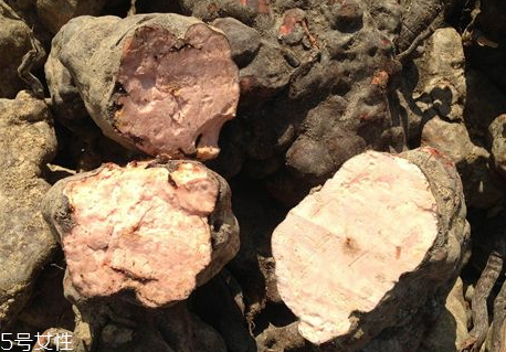 板栗煲什么汤比较好喝?,板栗煲什么汤好喝又有营养 板栗煲什么汤比较好喝?,板栗煲什么汤好喝又有营养