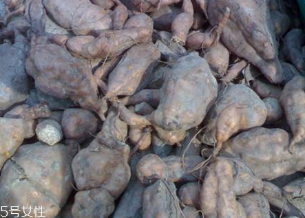 饺子馅怎么调才好吃,怎样拌饺子馅儿