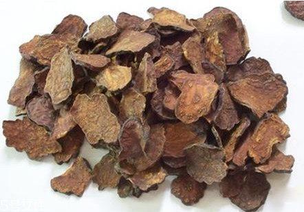 何首乌什么人不能吃,何首乌能不能吃