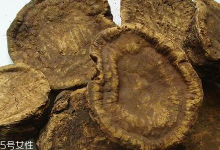 海胆的刺有毒吗,海胆为什么有刺 海胆的刺有毒吗,海胆为什么有刺