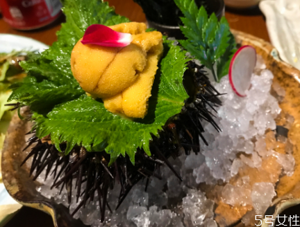 海胆怎样吃,海胆怎么做比较好吃视频