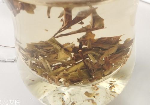 抹茶和绿茶的区别是什么,抹茶和绿茶的区别 知乎