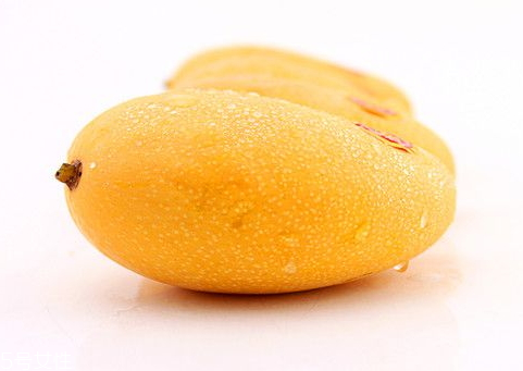 金煌芒和青芒的区别,金煌芒果和大青芒的区别 金煌芒和青芒的区别,金煌芒果和大青芒的区别