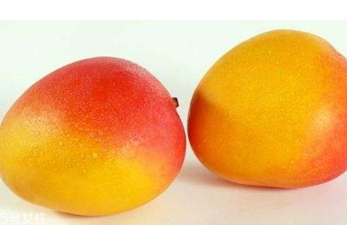 澳芒的特点和口感,澳芒的特点 澳芒的特点和口感,澳芒的特点