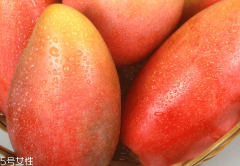 贵妃芒怎么样才是熟了 催熟方法,贵妃芒怎么样才是熟了