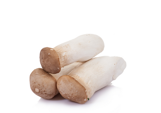 如何做杏鲍菇,杏鲍菇的做法 如何做杏鲍菇,杏鲍菇的做法