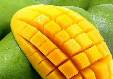 吃青芒会发胖吗,吃青芒果会不会胖 吃青芒会发胖吗,吃青芒果会不会胖