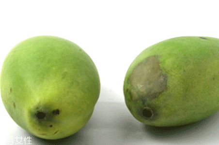 青芒里面是什么颜色的,青芒里面为什么是白色的