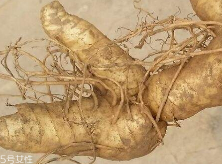 黄精发霉了还能吃吗,黄精长霉洗了还能吃吗