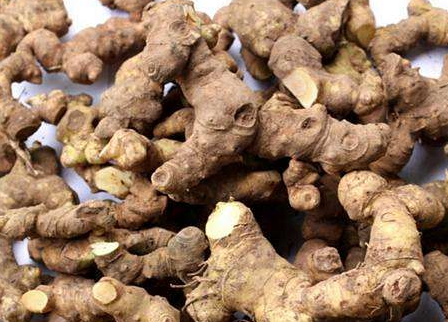 黄精茯苓瘦肉汤应用前景,黄精茯苓瘦肉汤