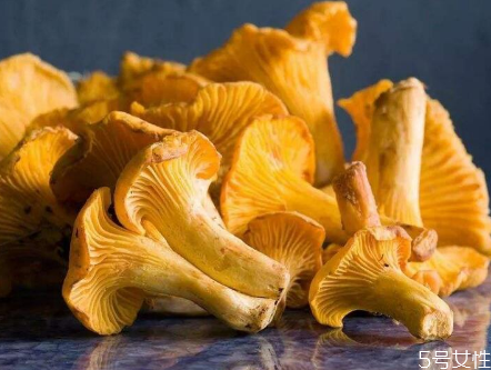 鸡油菌有毒性吗,鸡油菌有毒吗? 鸡油菌有毒性吗,鸡油菌有毒吗?