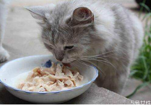 猫咪营养餐怎么做,猫咪营养餐怎么做窍门