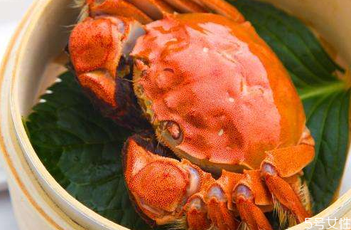 鲜活的大闸蟹如何保存,买回来的活螃蟹可以直接冷冻吗