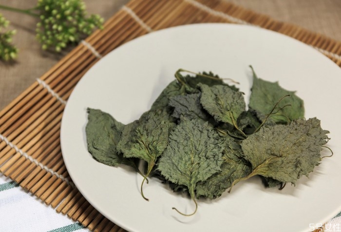 苏子叶如何长期保存,苏子叶如何长期保存冬天吃烧烤 苏子叶如何长期保存,苏子叶如何长期保存冬天吃烧烤