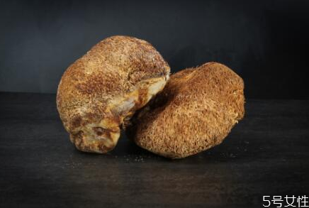 鲜猴头菇怎样吃,新鲜猴头菇怎么吃最好 鲜猴头菇怎样吃,新鲜猴头菇怎么吃最好