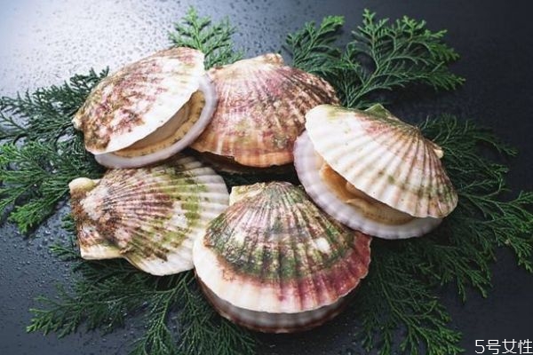 吃扇贝有什么注意的呢(吃扇贝的几个禁忌)