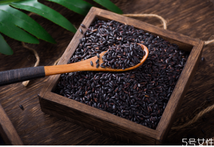 黑糯米泡酒的正确做法大全,黑糯米酒的酿制方法小视频 黑糯米泡酒的正确做法大全,黑糯米酒的酿制方法小视频