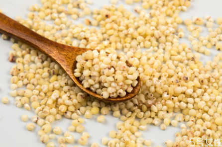 高粱米泡多久可以煮饭,高粱米煮饭前要泡多久