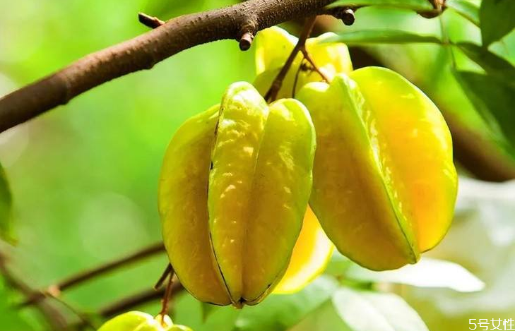 杨桃没有食用碱怎么洗,没有碱杨桃如何清洗