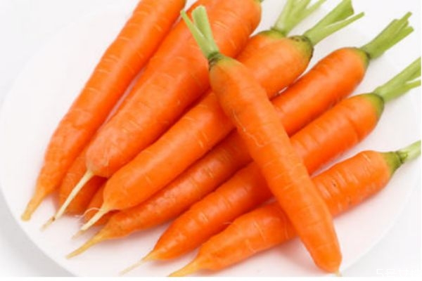 胡萝卜和水果胡萝卜有什么区别,普通胡萝卜和水果胡萝卜的营养区别
