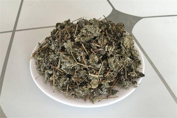 来月经可以喝溪黄草茶吗?,来例假可以喝黄茶吗