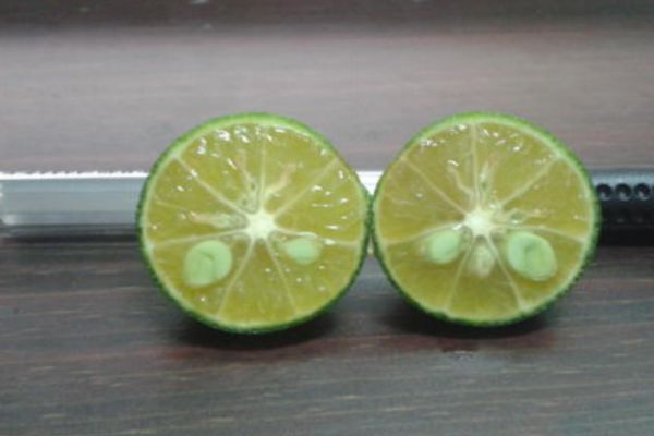 青桔柠檬水的做法,青桔柠檬水的做法简单