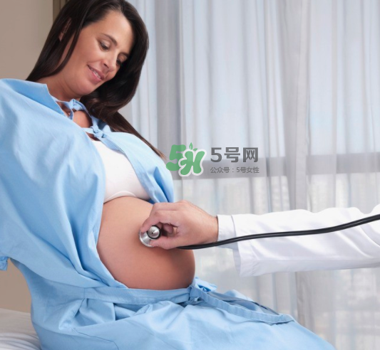 弹跳训练方法(弹跳训练营)