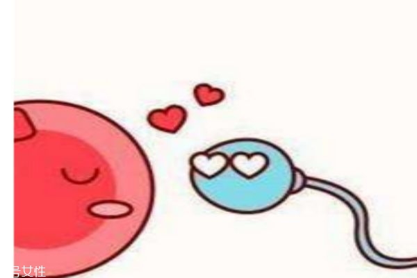 几招让眼影整天不晕染(怎么让眼影不晕染)