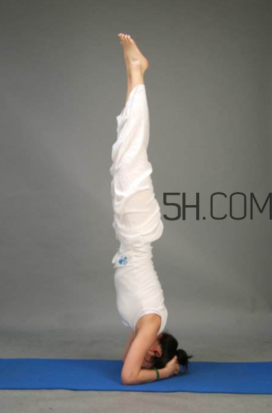 女人倒立有什么好处(女人倒立有什么好处和坏处)