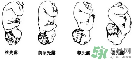 什么年龄适合用精华(精华液多大年龄开始用)