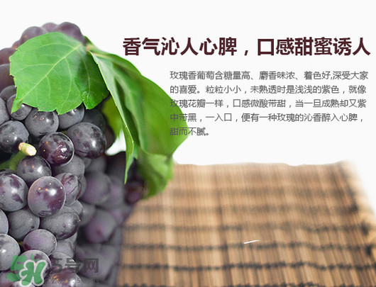 玫瑰香葡萄孕妇能吃吗?,孕妇可以吃玫瑰香葡萄吗