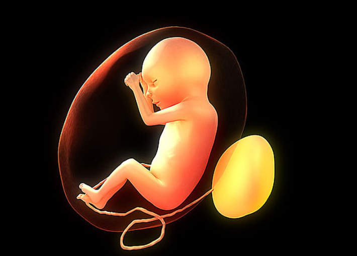 胎心率能看出男孩还是女孩吗,从胎心率怎么看男孩女孩