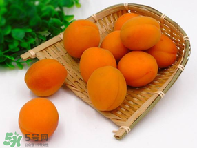 黄杏孕妇可以吃吗?,黄杏孕妇可以吃吗前期