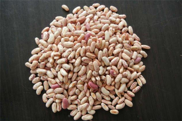 芸豆的家常做法(怎样炒芸豆好吃又简单)