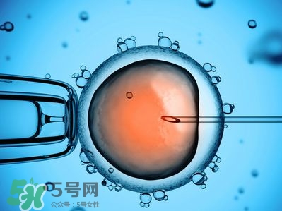 牙签肉的营养价值(牙签肉的营养价值)