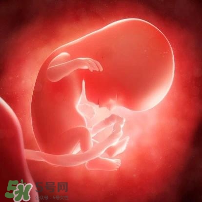 唇毛能用镊子拔吗(唇毛能用镊子拔吗)