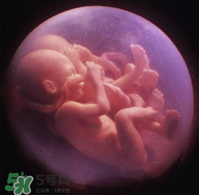 化妆水湿敷的操作方法(化妆水湿敷的正确做法)