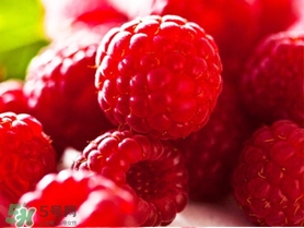 怀孕可以吃树莓吗?,孕妇不能吃树莓吗