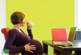 备孕能喝什么茶,备孕能喝茶么