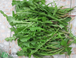 孕妇能不能吃婆婆丁,孕妇可以吃婆婆丁吗,对胎儿有影响吗