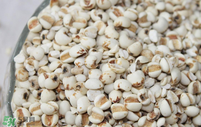 孕妇能吃米仁吗 初期,孕妇可以吃薏仁米吗