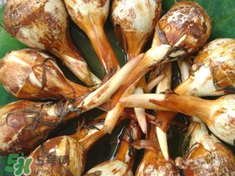 孕妇可以吃慈姑吗,孕妇真的不能吃慈姑吗?