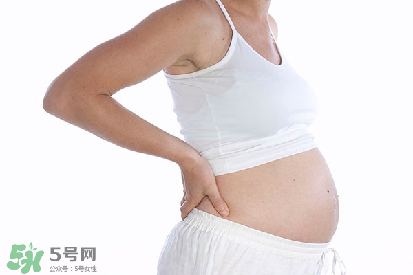 动作三／上卧卷腹(仰卧卷腹动作要领)